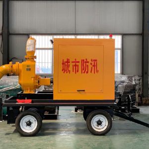 柴油機(jī)水泵機(jī)組